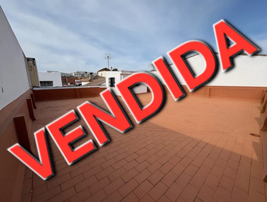 Imagen de WhatsApp 2025-12-01 a las 10.50.58_ee4c6a6a