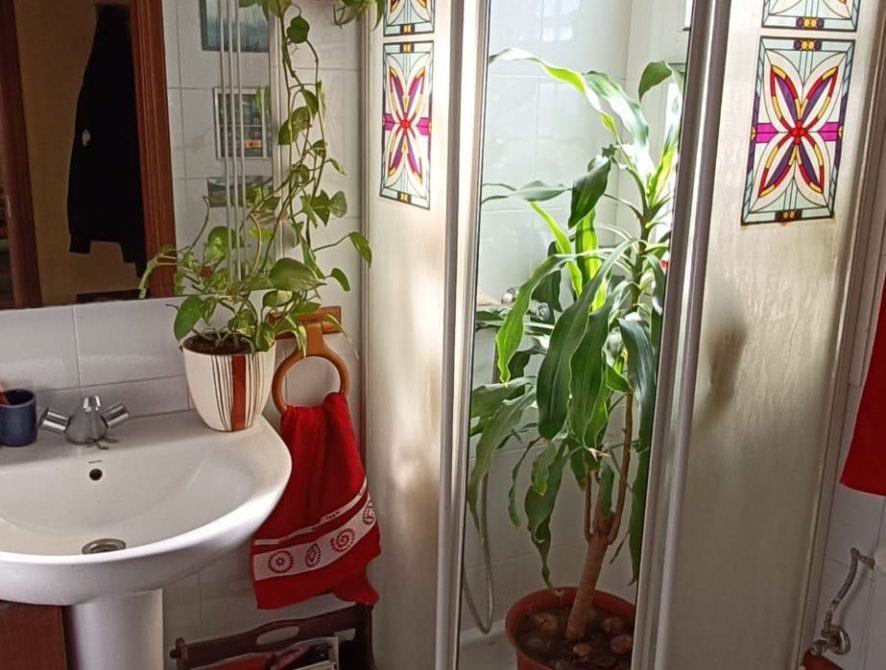 490c9329-fe37-4773-bbdd-c48ac4d6484f